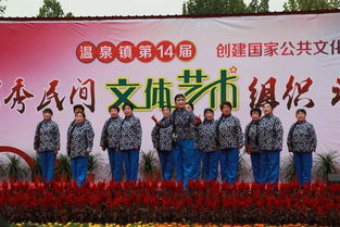 溫泉鎮(zhèn)第十四屆優(yōu)秀民間文體藝術(shù)組織評選展示活動 一場民間文藝的盛宴